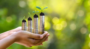 How can you achieve your CSR objectives and optimise your costs with pallet dividers?